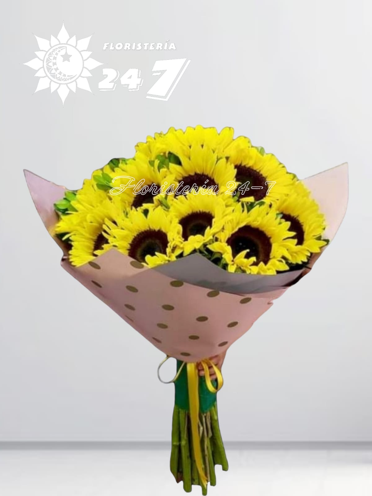 Manual de girasol gigante: